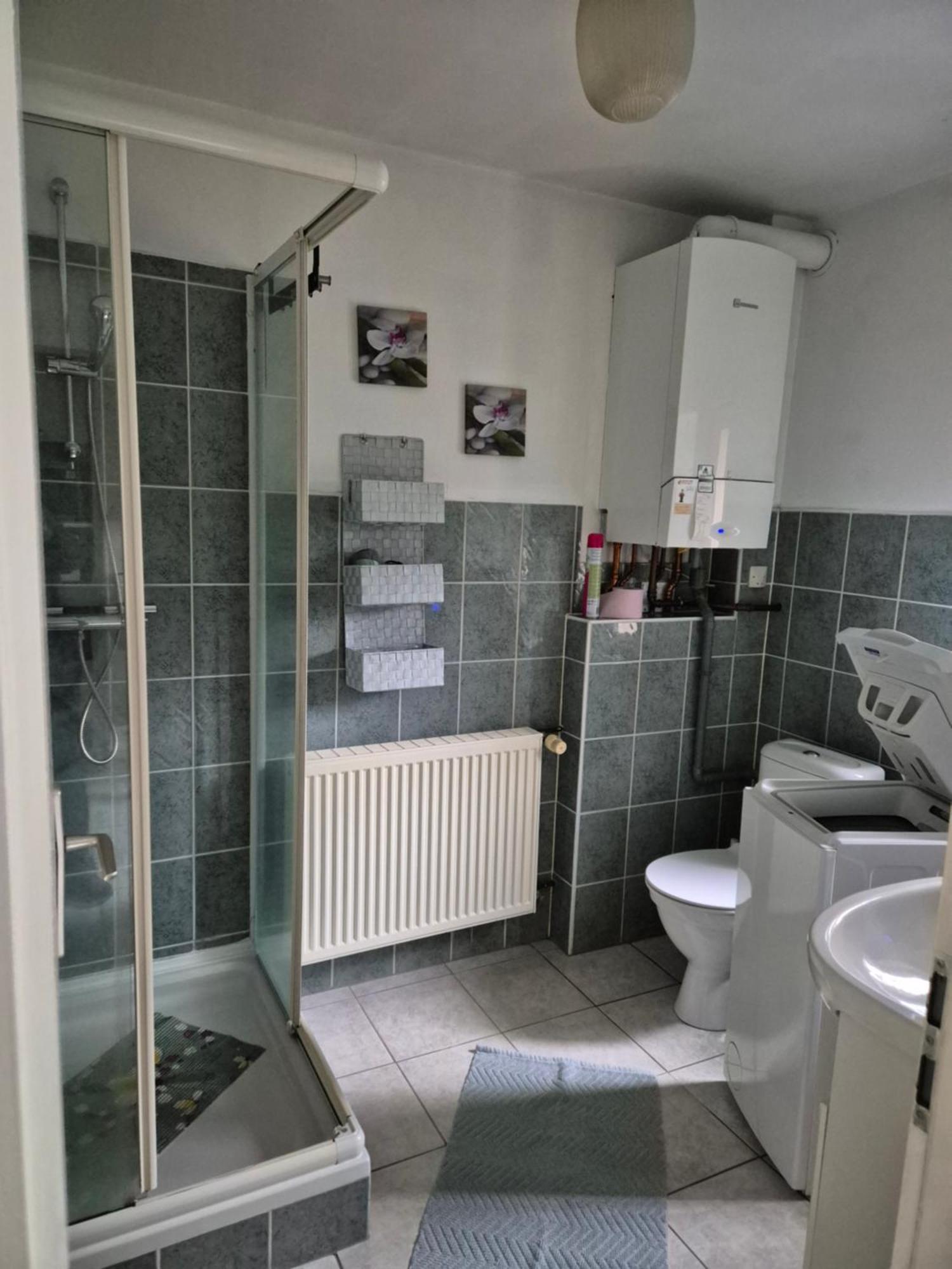 1 Rue Des Romains Studio Meuble Clauss Niederbronn-les-Bains Exterior photo